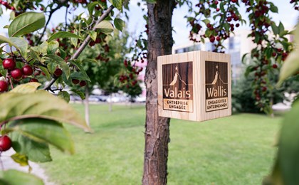 marque Valais Enterprise